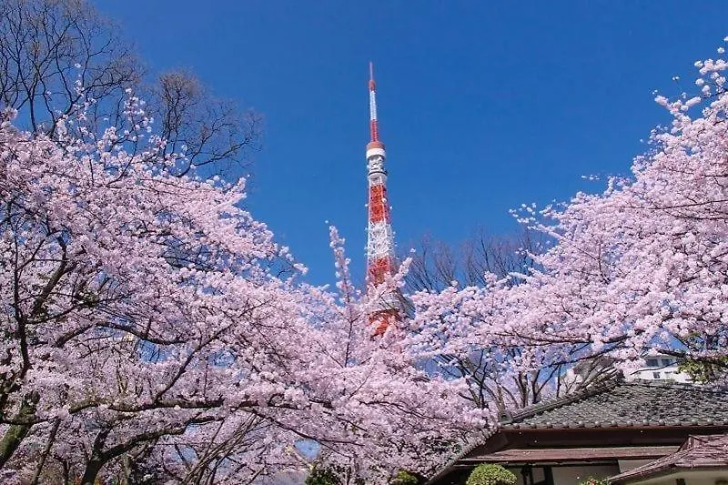 Tokyo Kakan Гостевой дом